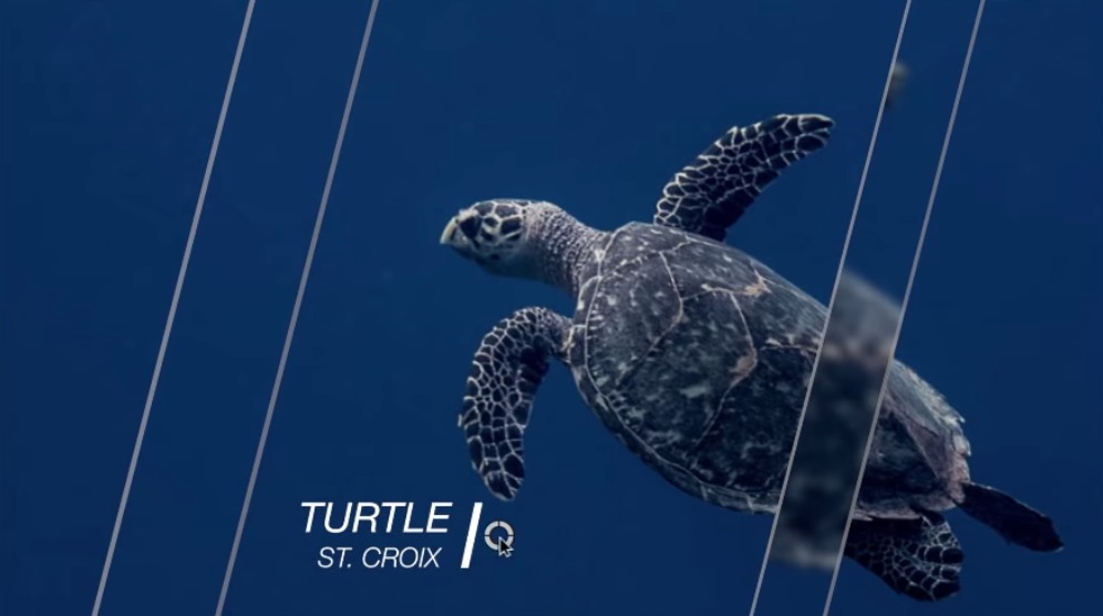 Smooth Glass Slideshows in Final Cut Pro X 1