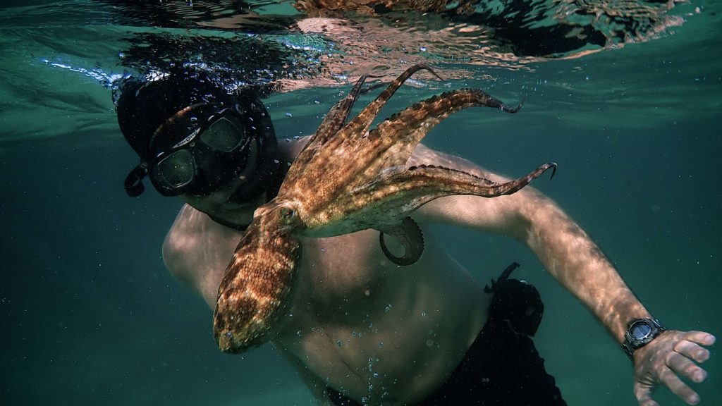 ART OF THE CUT with ACE Eddie winner of "My Octopus Teacher" 1
