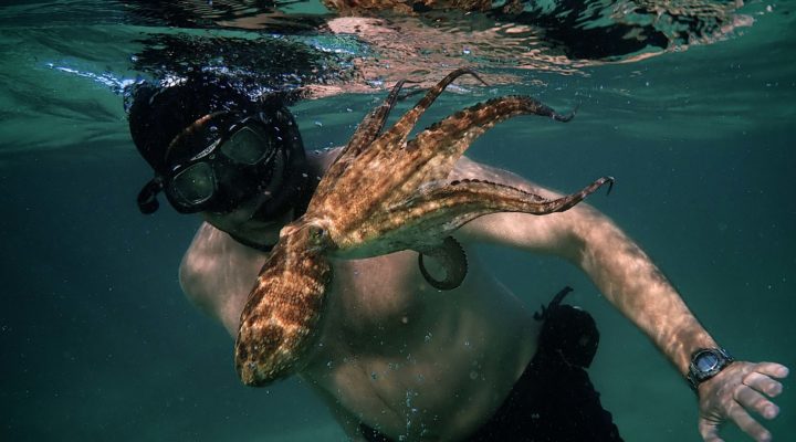 ART OF THE CUT with ACE Eddie winner of "My Octopus Teacher" 1