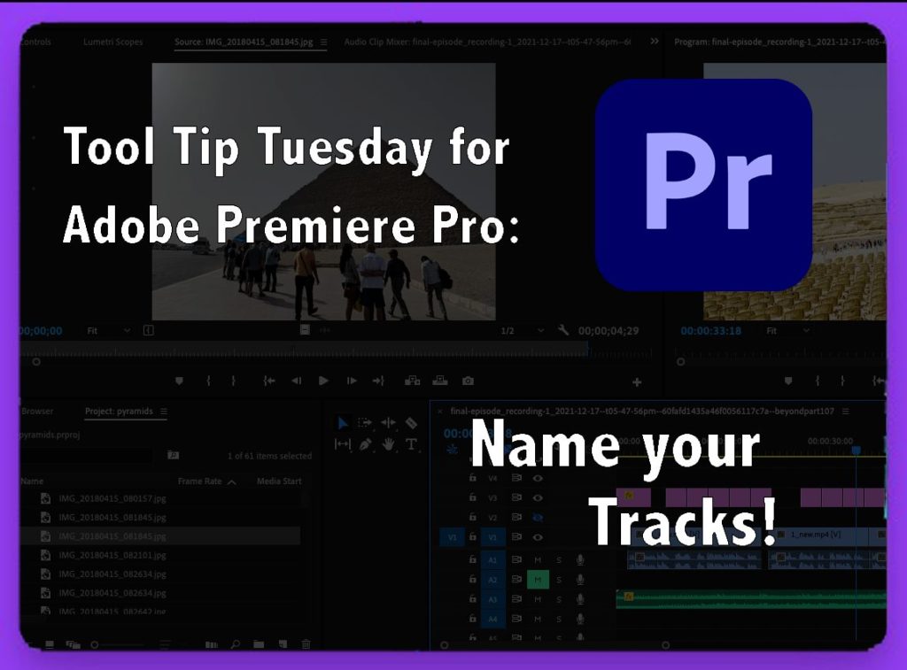 Title: Adobe Premiere Pro Name your Tracks!