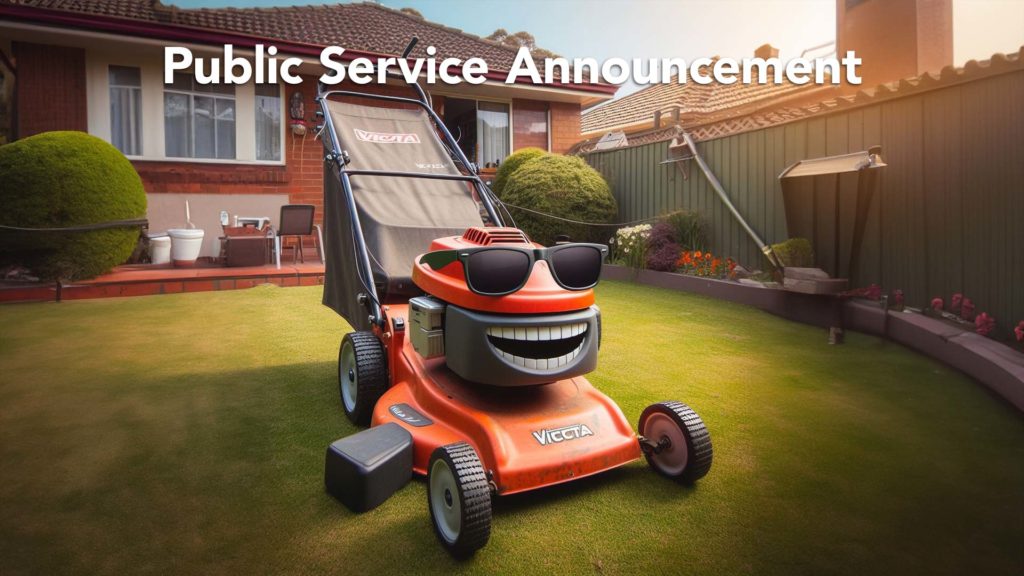 PSA: Mowing the lawn? Wear Glasses! 1