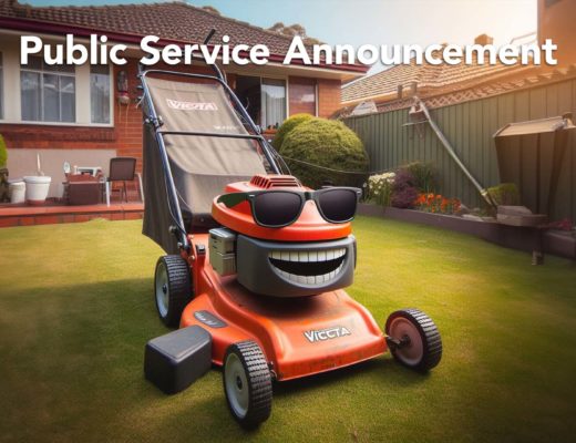 PSA: Mowing the lawn? Wear Glasses! 11