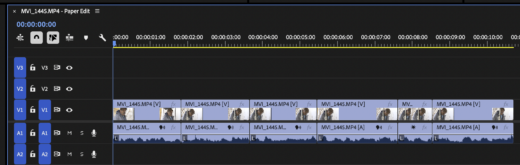 Tool Tip Tuesday for Adobe Premiere: Grab the best Moments in the Transcript Panel with Paper Edit 16 Tool Tip Tuesday for Adobe Premiere: Grab the best Moments in the Transcript Panel with Paper Edit 16