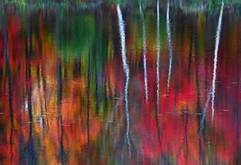 PeterLik_thumb.jpg