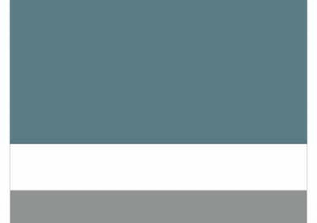 Picturepark-Digital-Asset-Management-Burger-Logo.jpg