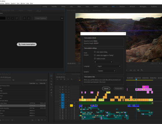 Adobe Premiere Pro transcriptions