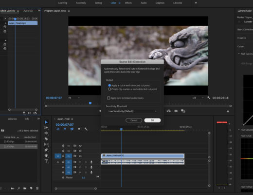 premierepro_sceneeditdetection_techpreviewdialog