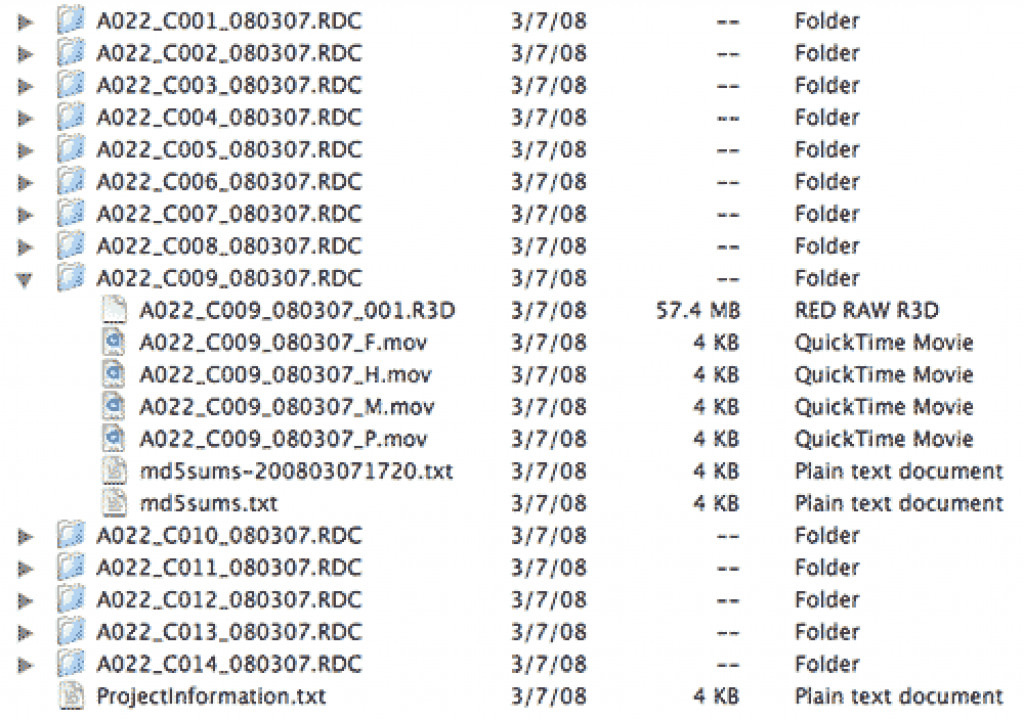 REDFileStructure.png