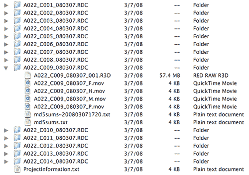 REDFileStructure.png
