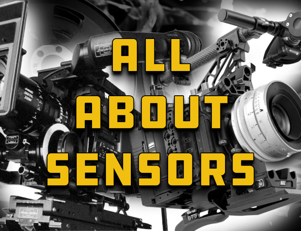 Camera Sensors: Mediocre Mimicry to Silicon Supremacy 1
