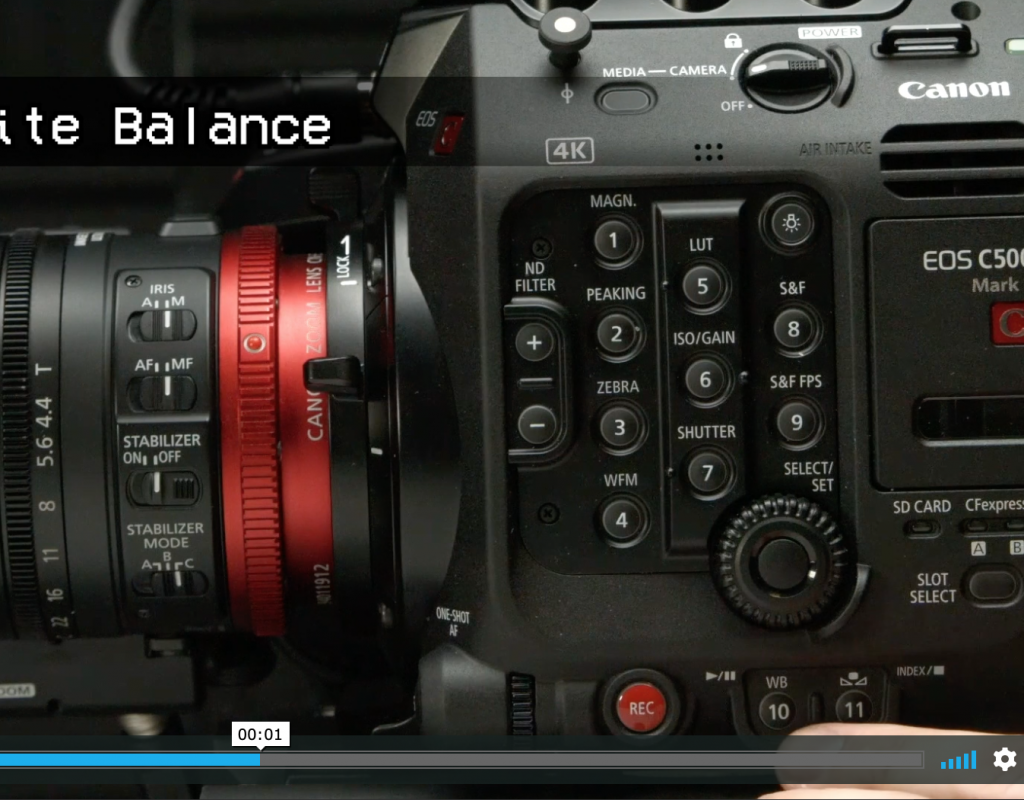 Lightning Quick Camera Guides 1