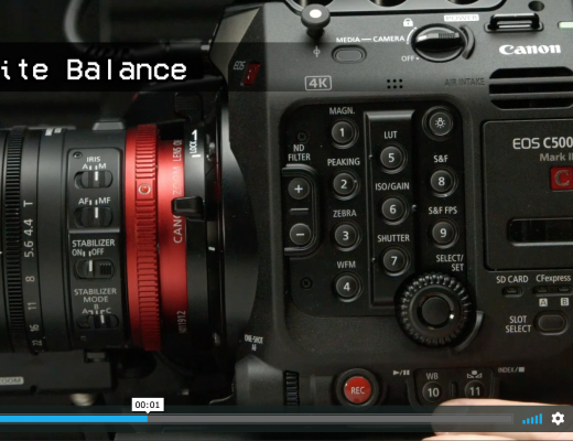 Lightning Quick Camera Guides 11