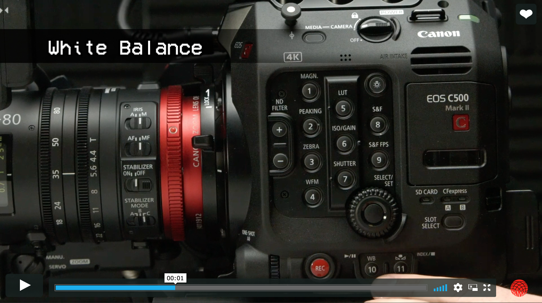 Lightning Quick Camera Guides 1