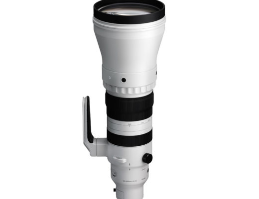 Sigma 300-600mm