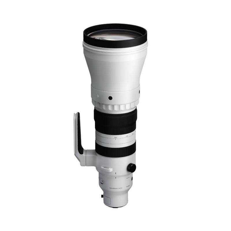 Sigma 300-600mm
