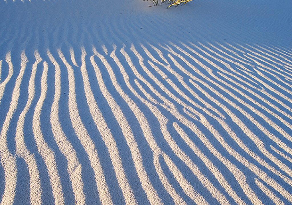 TBolsand207m.jpg