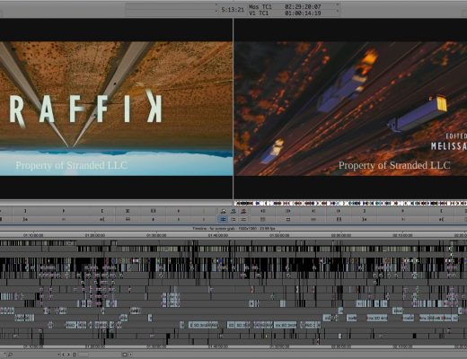 ART OF THE CUT with Melissa Kent of on editing "Traffik" 2