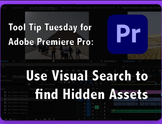 Tool Tip Tuesday for Adobe Premiere Pro: Use Visual Search to find Hidden Assets 11