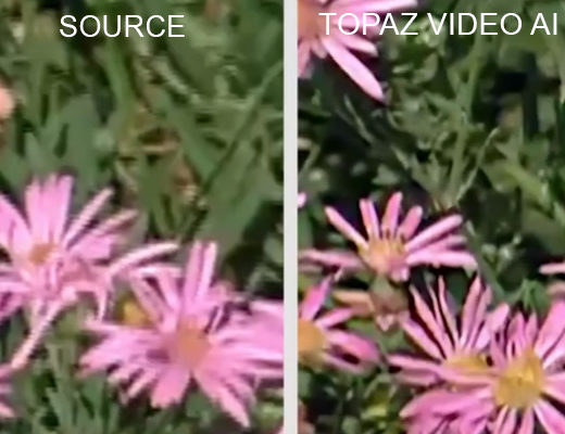 Topaz Video AI v3.0 released 36
