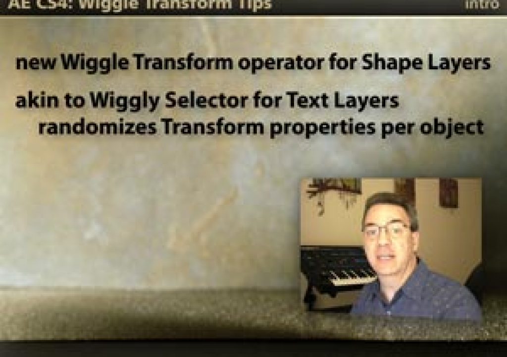 WiggleTransform_300.jpg