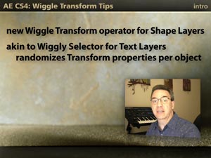 WiggleTransform_300.jpg