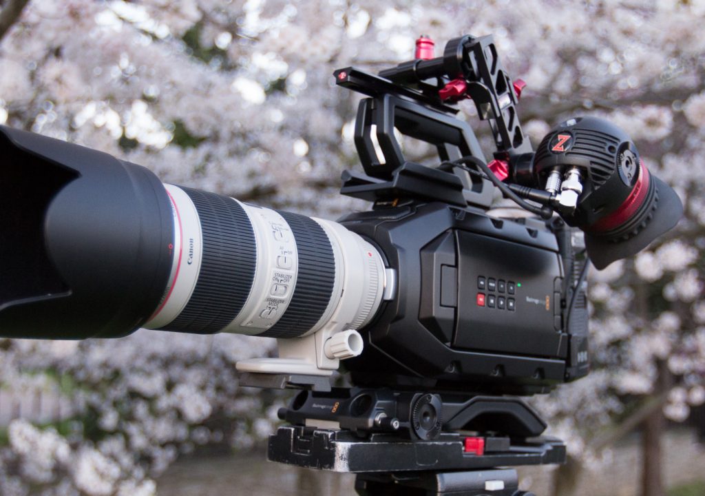 Zacuto
