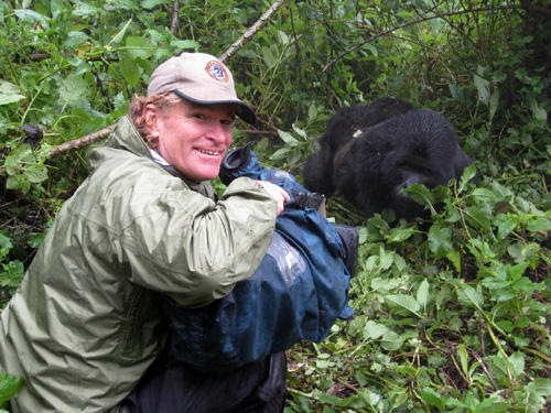 Petrol Helps Poole's Gorilla Footage Garner Emmy Nods 1