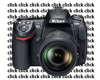 More tidbits on D300S sustained shooting @ 8fps 1