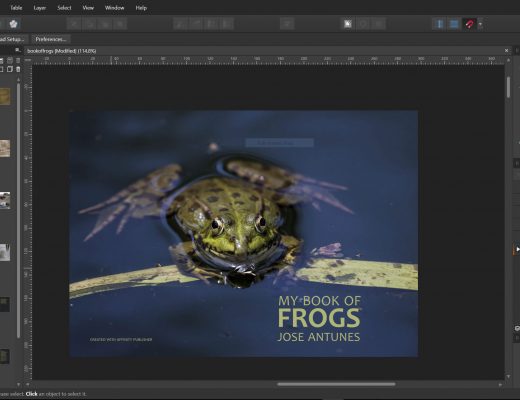Affinity Publisher is coming: an affordable desktop publishing app 10