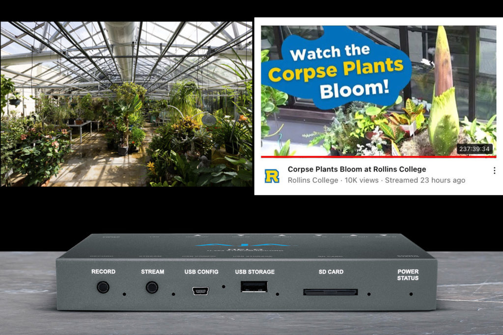 AJA Helo used to stream a live "corpse flower" bloom