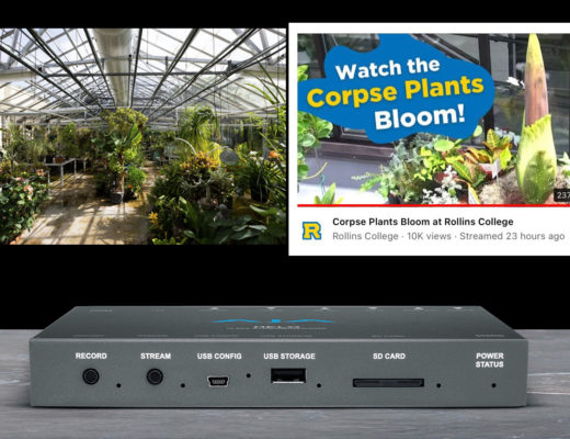 AJA Helo used to stream a live "corpse flower" bloom