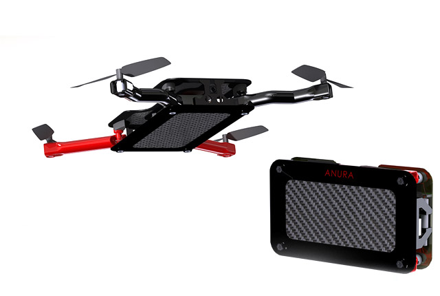 anura001.jpg