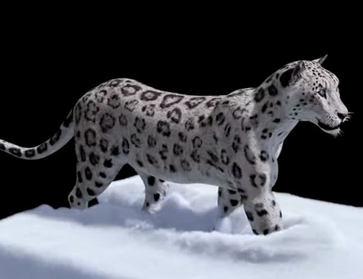 Bifrost for Maya: creating VFX quickly