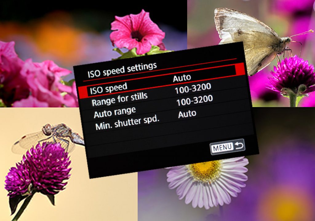 Auto ISO as a creative tool