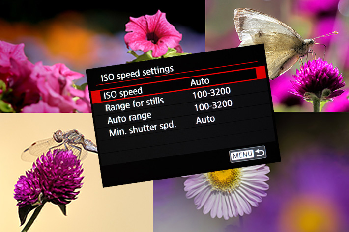Auto ISO as a creative tool