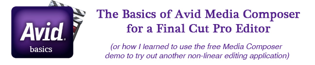 avid-basics-title.jpg