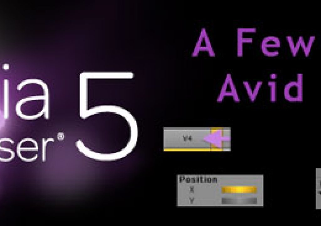avid-finds-main.jpg