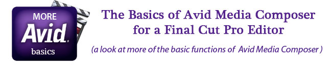 avid-more-basic-for-FCP.jpg