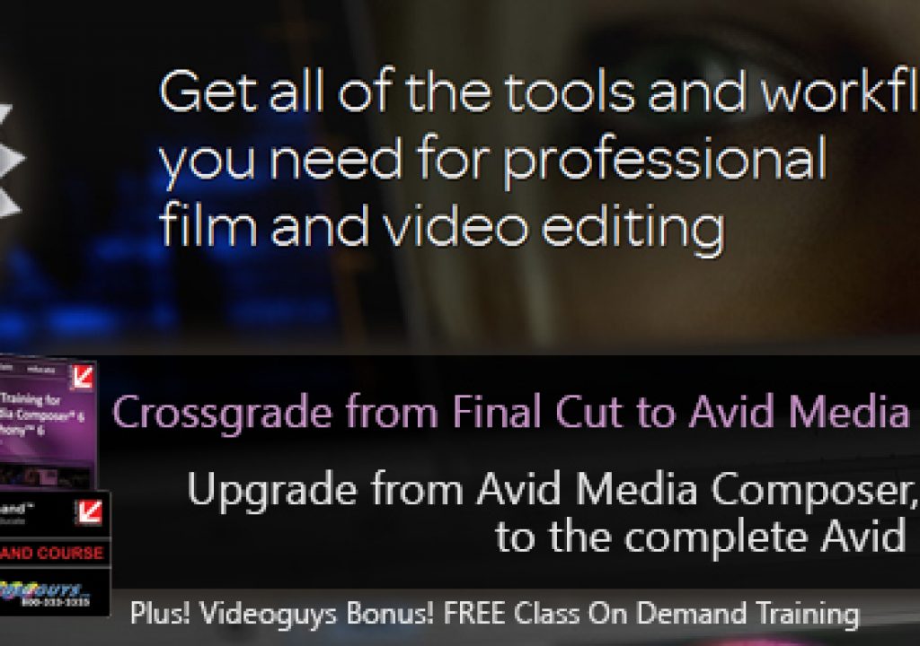 avid25th-header.jpg