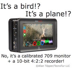 It’s a calibrated 709 field monitor! No, a 10-bit 4:2:2 recorder! It's Ninja Blade or Samurai Blade! 23