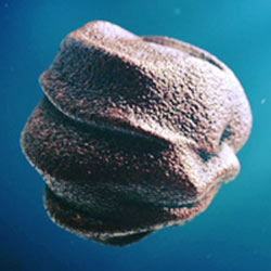 After Effects Lately 2013.02.23 1