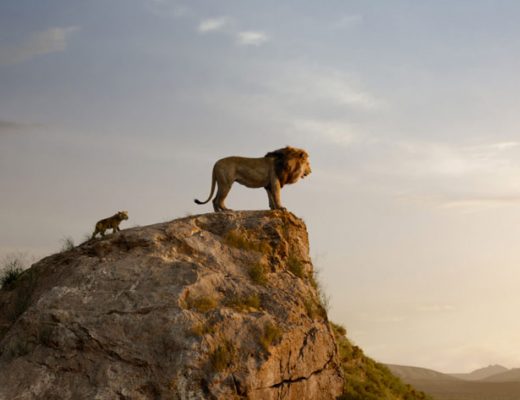 Blackmagic Design was the virtual production’s backbone for The Lion King
