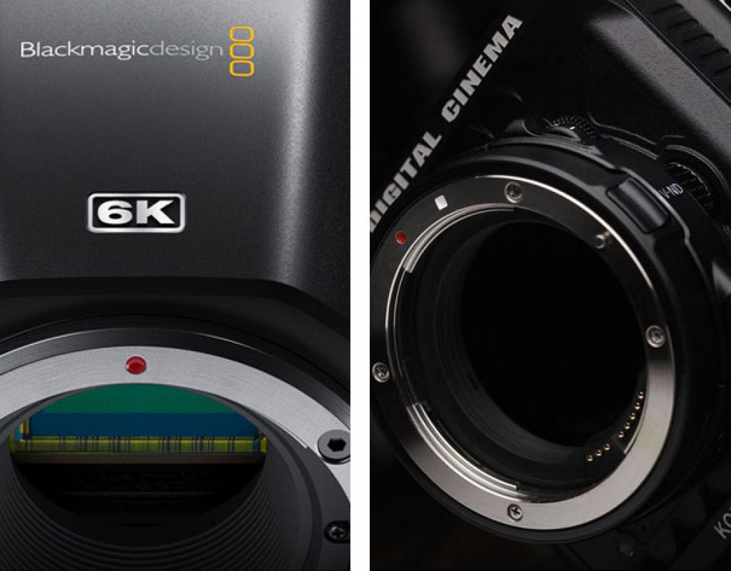 Will the Komodo (dragon) eat the Blackmagic Pocket CC 6K?