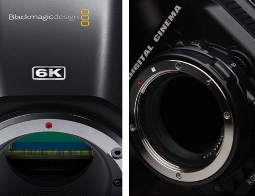 Will the Komodo (dragon) eat the Blackmagic Pocket CC 6K?