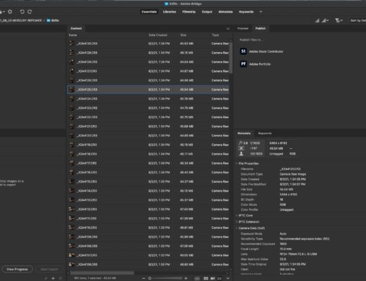 Adobe Prelude is End of Life. Bridge still there. Kyno in limbo? 17