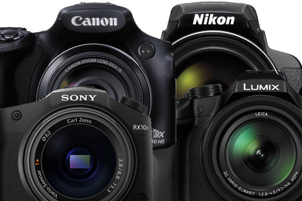 The Best Bridge Cameras for Video in 2015 5