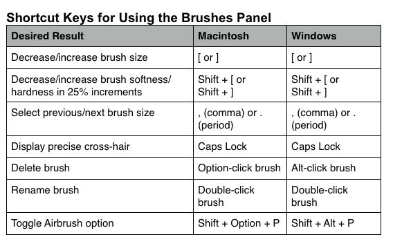 brushes.jpg