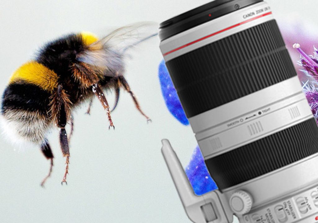 Gold Award for Canon EF 100-400mm f/4.5-5.6L IS II USM 1