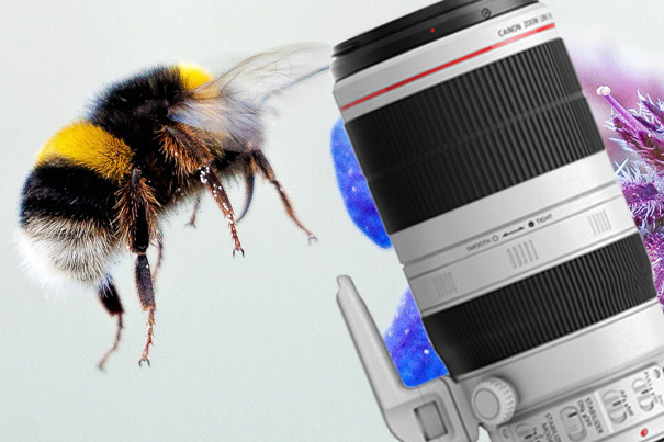 Gold Award for Canon EF 100-400mm f/4.5-5.6L IS II USM 2
