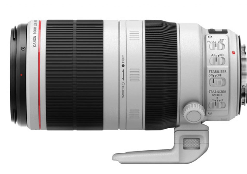 Review: The New Canon EF 100-400mm for Flowers and Bees 1